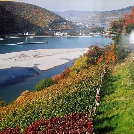 Johanna Oda ve Kahvaltı 3*
