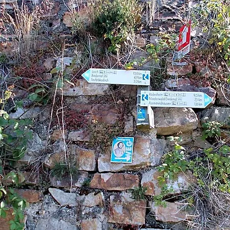 Oda ve Kahvaltı Johanna